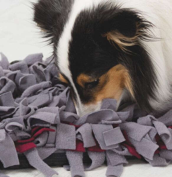 TRIXIE Activity Schnüffelteppich